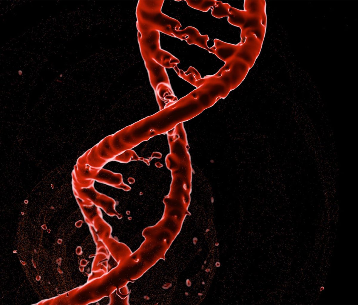 Biology EMF Protection - Nurture Guard